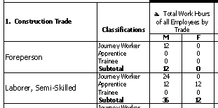 How Work Classifications appear on the final report